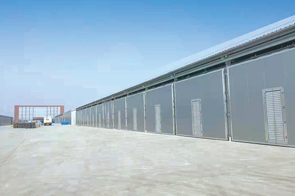 菌菇養殖--安陽眾興育菇房