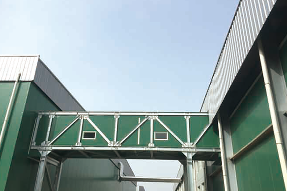 菌菇養(yǎng)殖--陜西眾興菌業(yè)